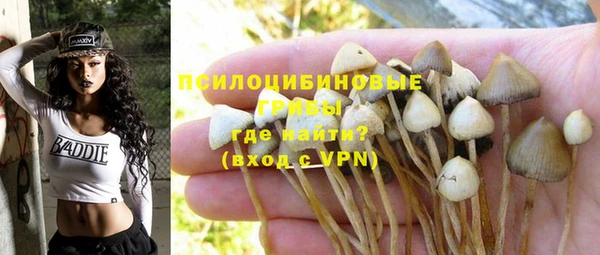 бутират Вяземский